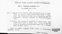 Puccinia graminis image